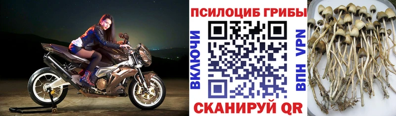 Псилоцибиновые грибы мухоморы хочу это состав Новотроицк